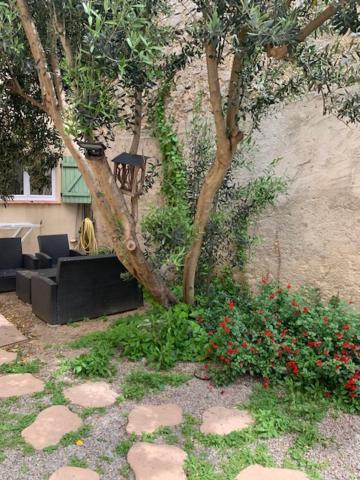 L'Olivier De Nonna Appartement Gruissan Buitenkant foto